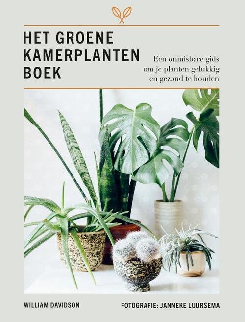 Vervolgen palm Naleving van Het groene kamerplanten boek, William Davidson | Boek | 9789043923705 |  Bruna