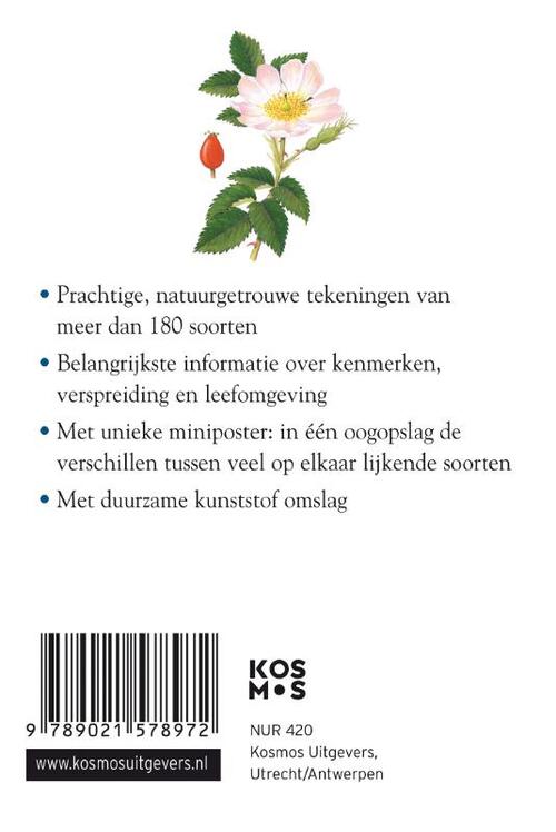 Compactgids Bloemen