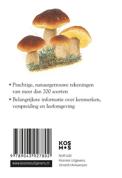 Compactgids Paddenstoelen