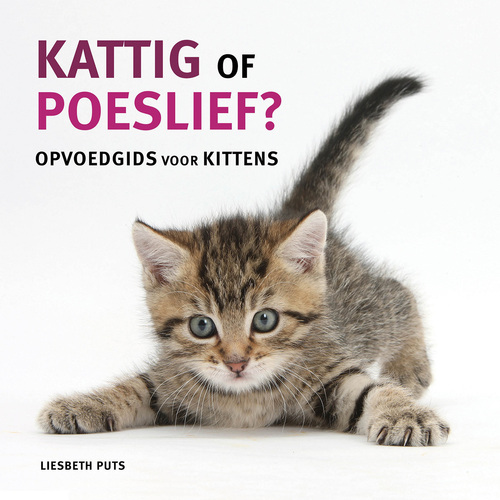 Kattig of poeslief