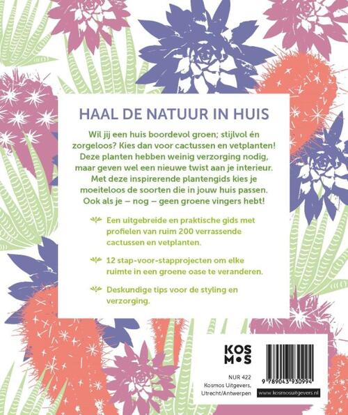Het creatieve cactus en vetplanten boek