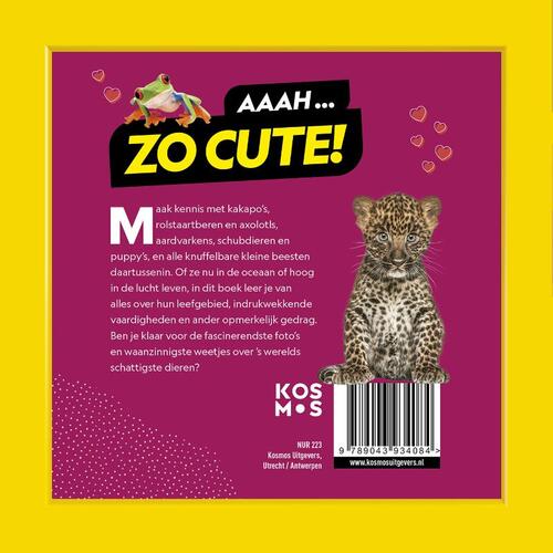 Schattigste dieren op aarde