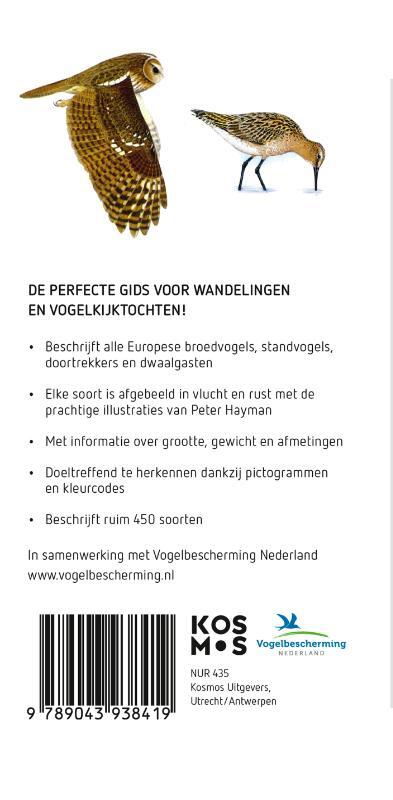 Hayman's zakgids Vogels