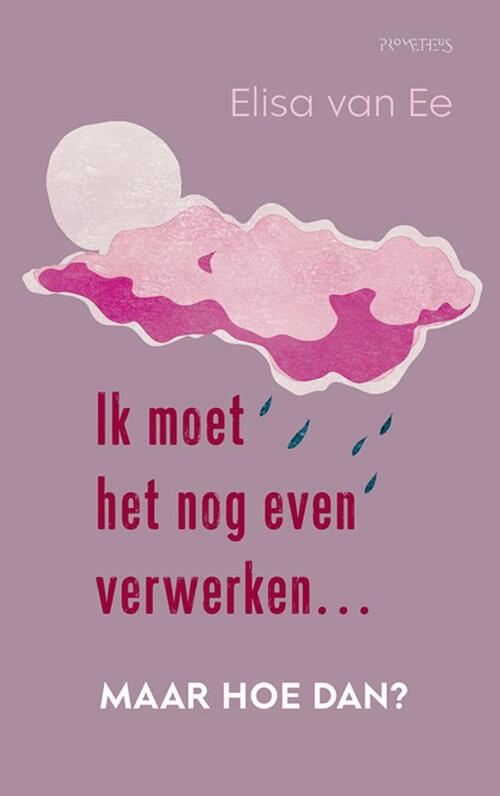 Ik moet het nog even verwerken, maar hoe dan?