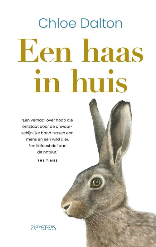 Een haas in huis