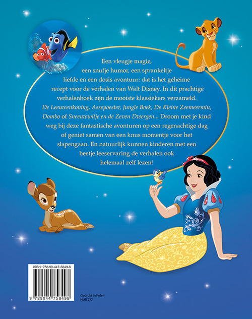 Disney betoverende sprookjeswereld