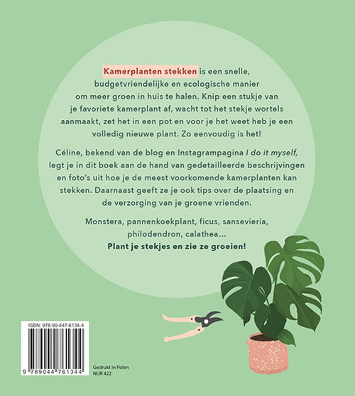 Kamerplanten stekken