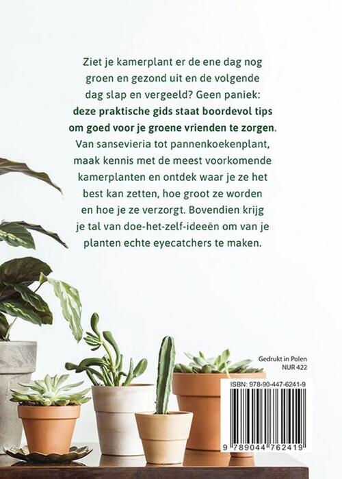 Basisgids kamerplanten