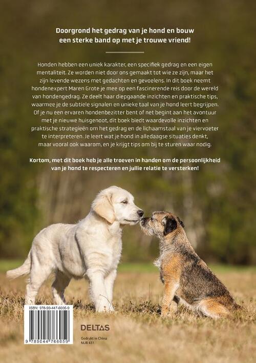 Honden beter begrijpen