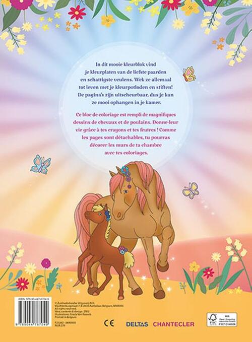 Ik hou van paarden kleurblok / J'aime les chevaux bloc de coloriage