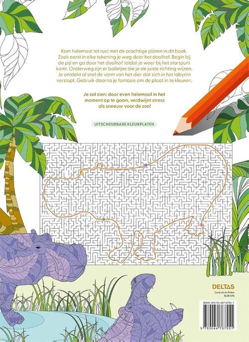 Magische doolhoven kleurboek voor volwassenen