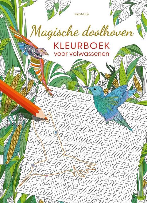 Magische doolhoven kleurboek voor volwassenen