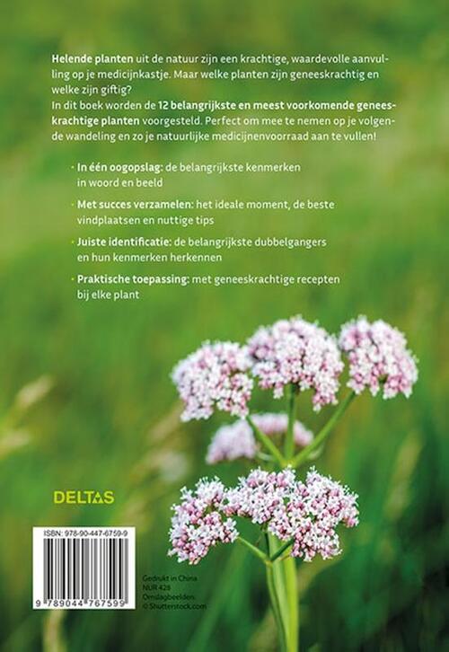 Geneeskrachtige planten herkennen en gebruiken