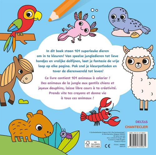 Maxi Color Fun – 101 dieren / Maxi Color Fun – 101 animaux