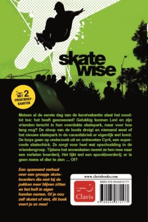 Skatewise 3 - Slidess