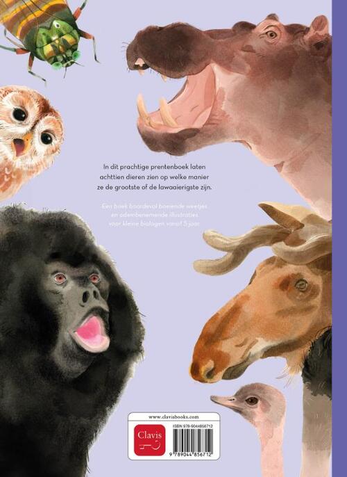 De allergrootste & De lawaaimakers