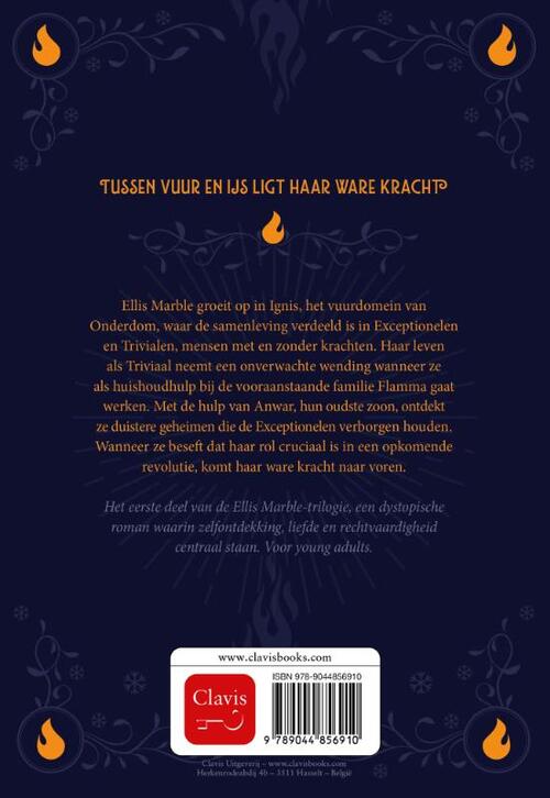 De bevroren vlammenzee