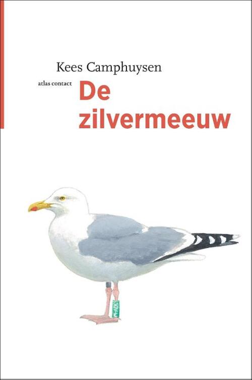 De zilvermeeuw