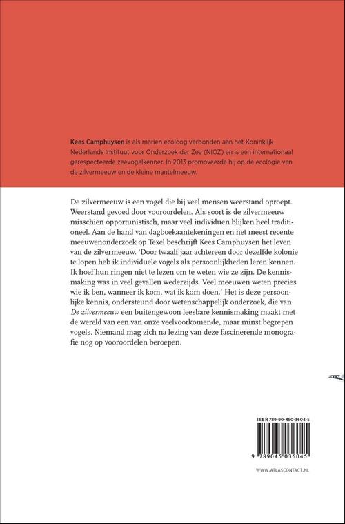 De zilvermeeuw