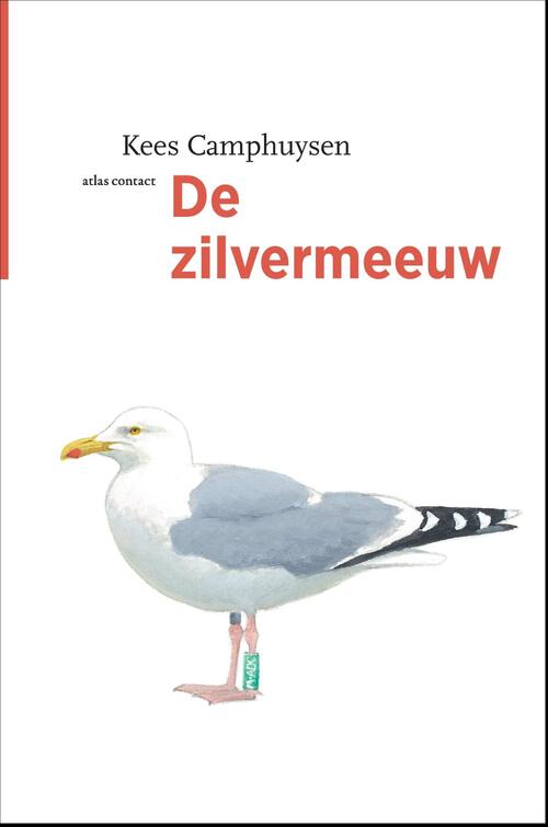 De zilvermeeuw