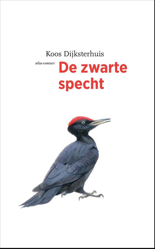 De zwarte specht