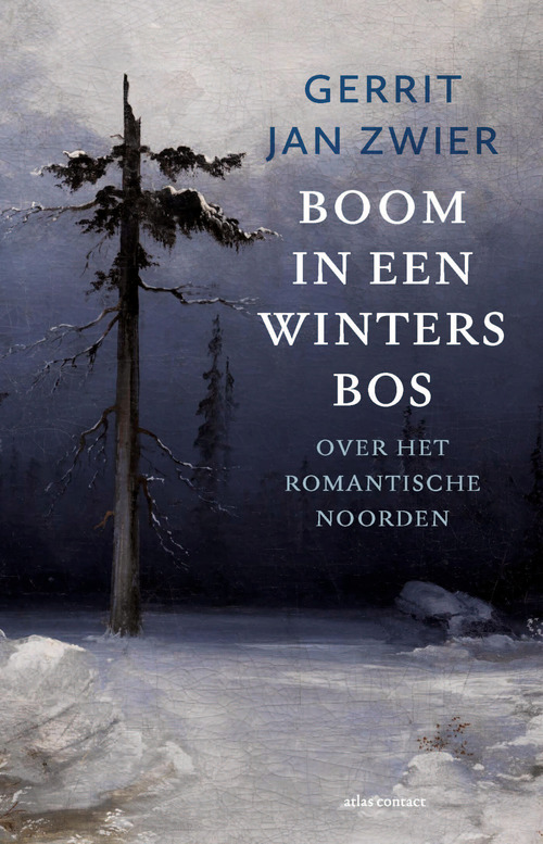 Boom in een winters bos