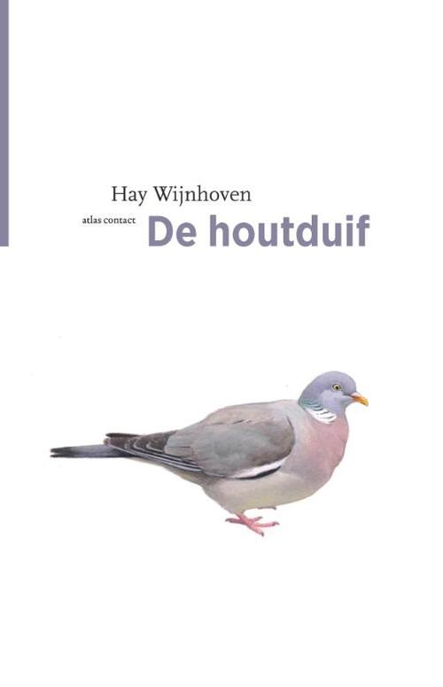 De houtduif