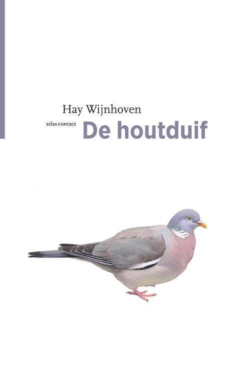 De houtduif