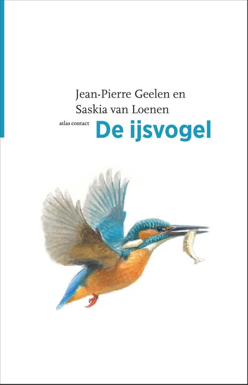 De ijsvogel