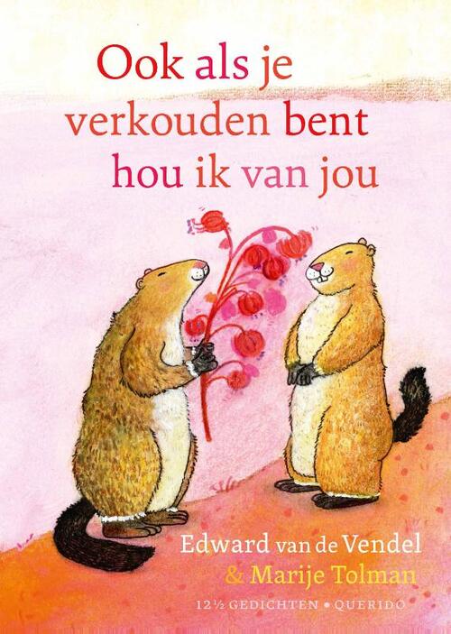 Ook als je verkouden bent hou ik van jou