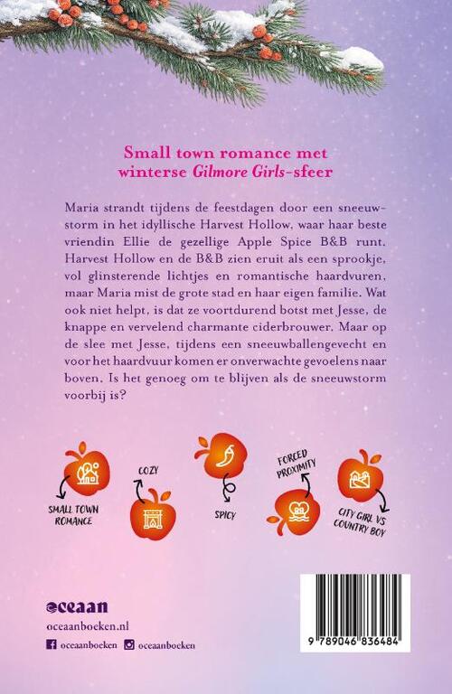 Ingesneeuwd in de Apple Spice B&B