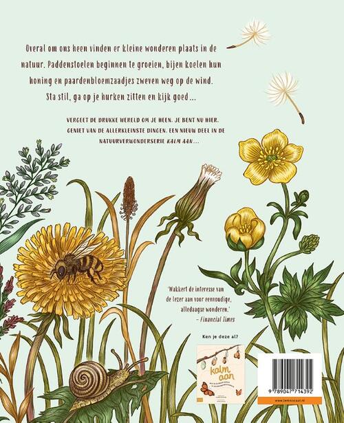 Kalm aan… Hier en nu