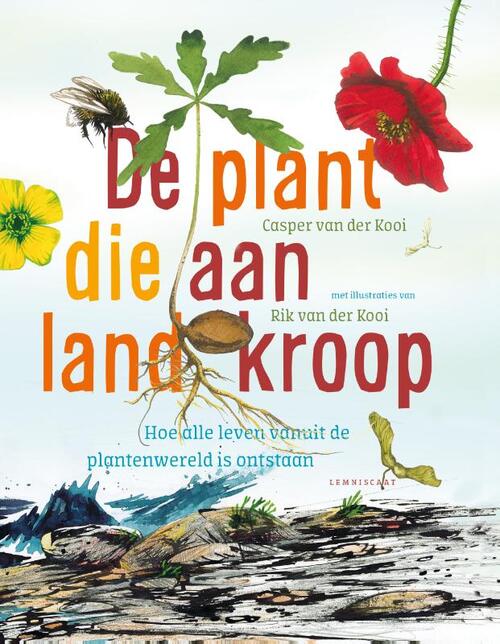 De plant die aan land kroop