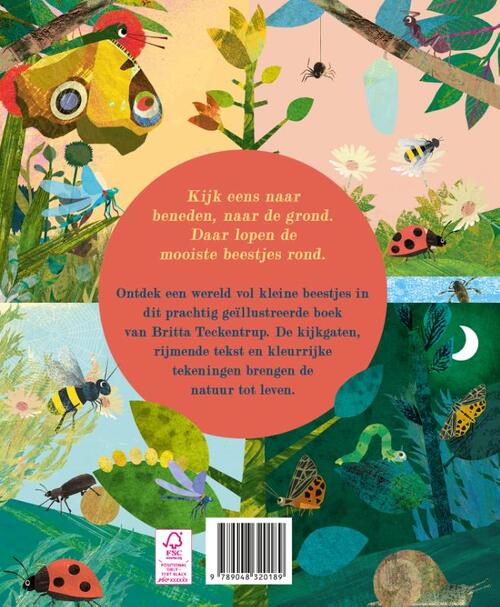 Ontdek de grote wereld van kleine INSECTEN