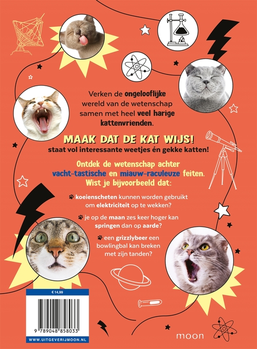 Maak dat de kat wijs!