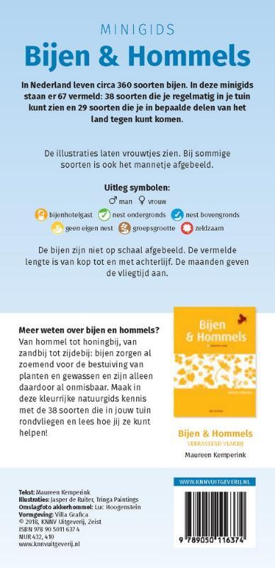 Bijen en hommels set 3 ex