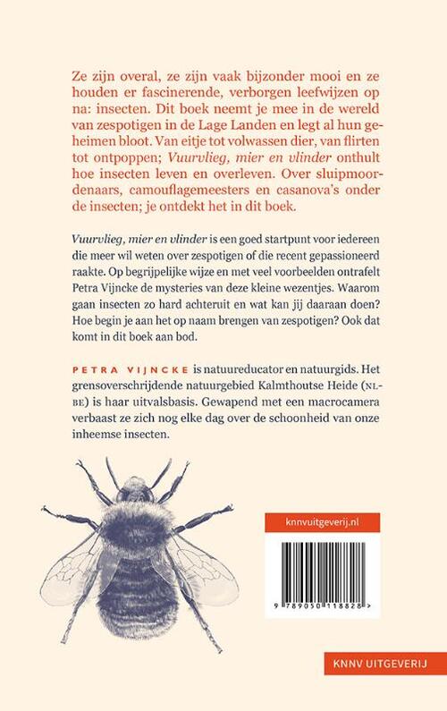 Vuurvlieg, mier en vlinder