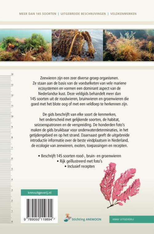 Veldgids Zeewieren
