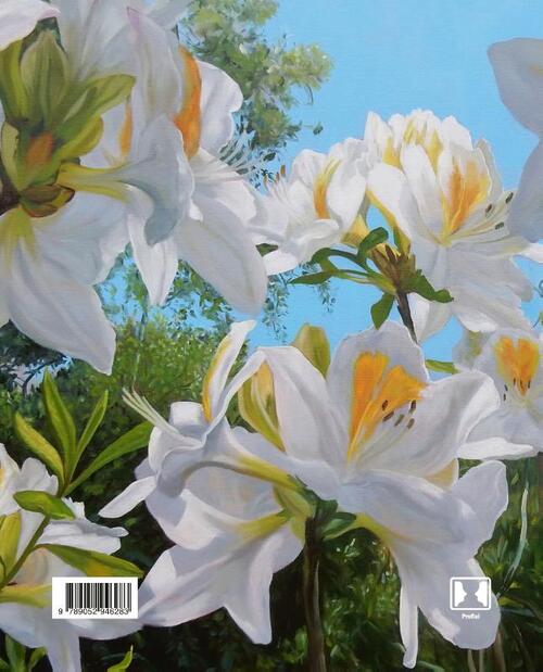 Theo Leijdekkers, Kleurenpracht