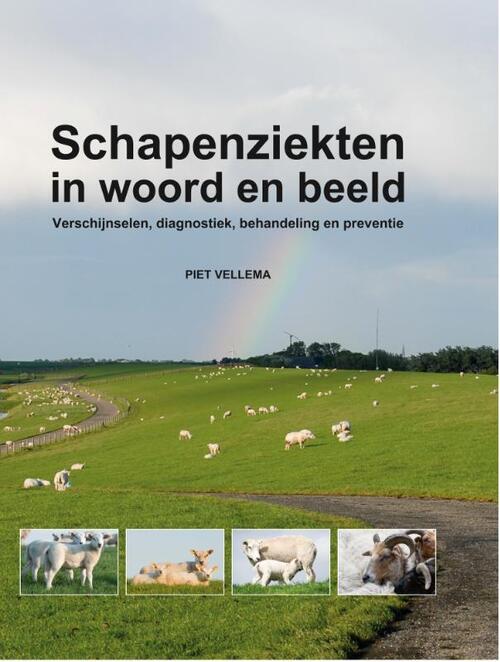 Schapenziekten in woord en beeld