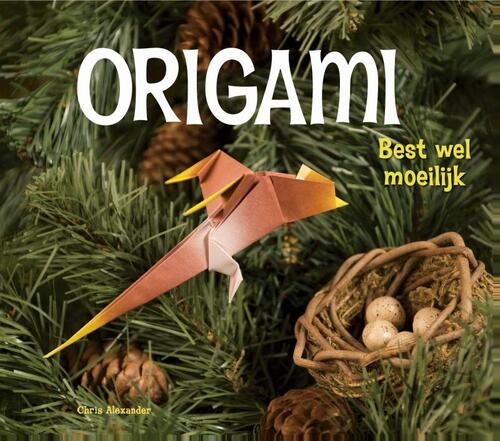Origami - Best wel moeilijk