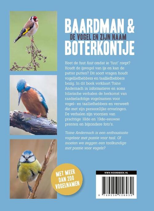 Baardman en boterkontje