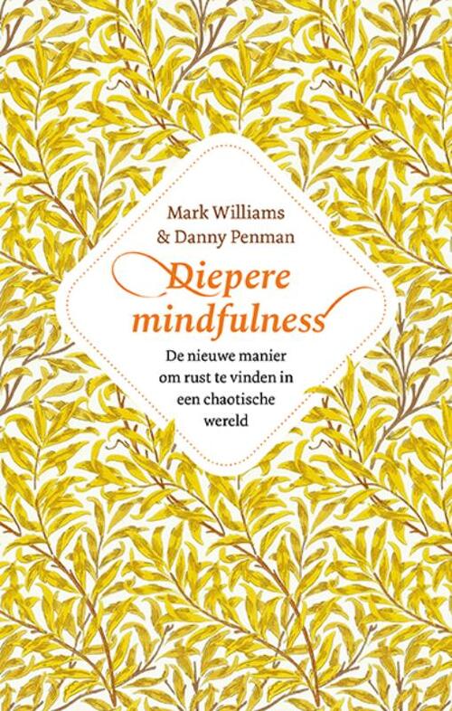 Diepere Mindfulness