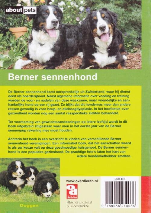 Over Dieren - Berner Sennenhond