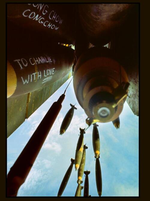 Co Rentmeester - Witnessing Life