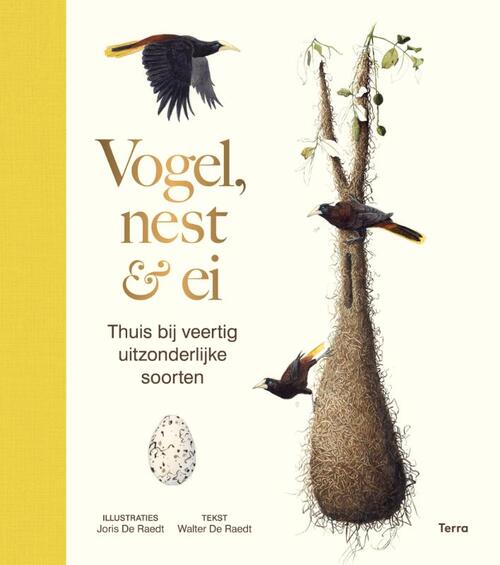 Vogel, nest & ei