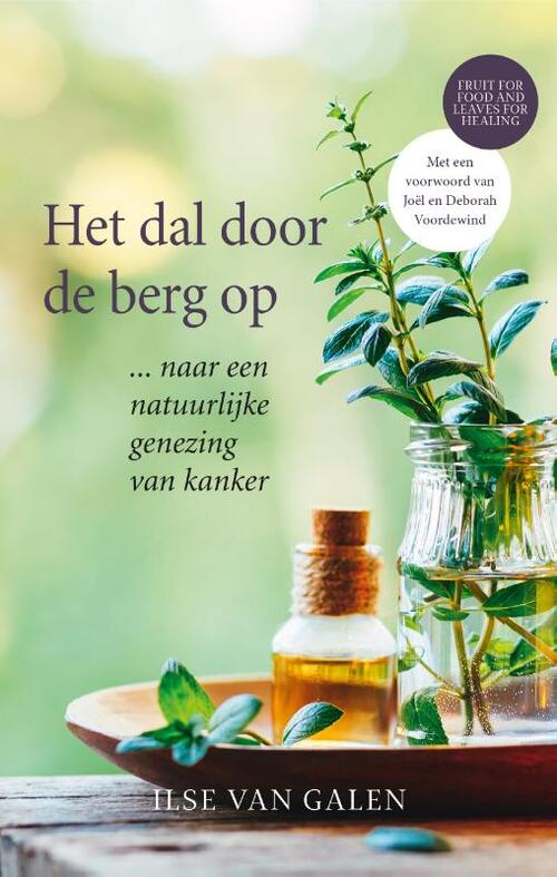 Het dal door de berg op