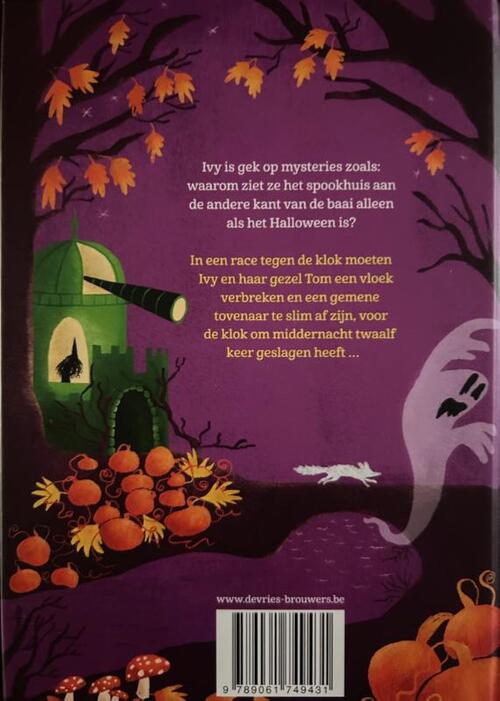 Heksje Ivy en de tijdrover