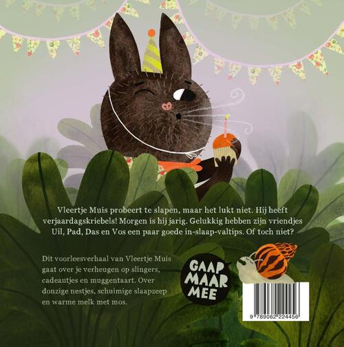 Vleertje Muis en het gaapconcert