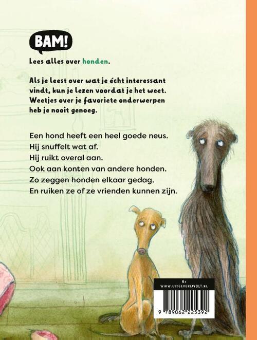 De kont van een hond